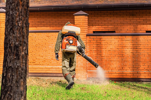 Bed Bug Clearance Verification and Documentation in Wadsworth